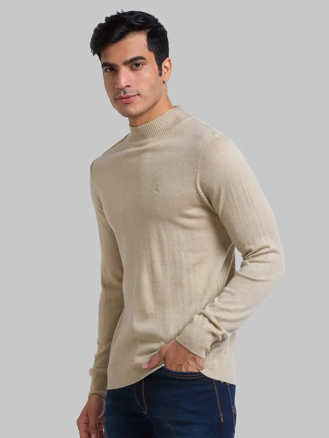Men Fawn Solid Acrylic Wool Blend Full Sleeve Sweaters