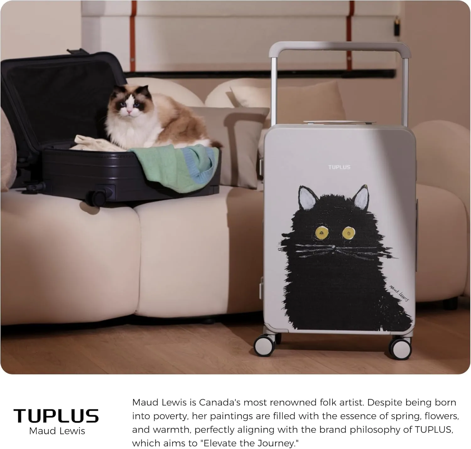 TUPLUS Suitcase Lightweight Luggage Hard Shell Suitcase with 4 Spinner Wheels Hold Check in Travel Case, Impression Series